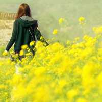 唯美简约清新很有意境的女生头像图片