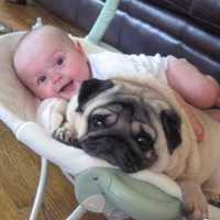 小孩和狗头像,萌宠与萌娃头像图片