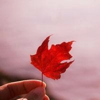 那些好看的唯美而简约的头像