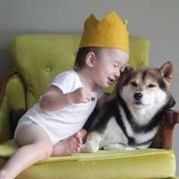 小孩和狗头像,萌宠与萌娃头像图片