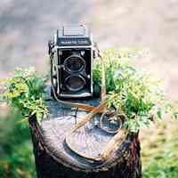 好看清新植物带来好运连连