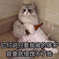 可爱猫带字头像图片_高清超萌可爱猫咪带文字