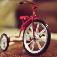 微信头像静物唯美_好看唯美的静物图片头像