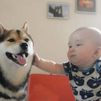 小孩和狗头像,萌宠与萌娃头像图片