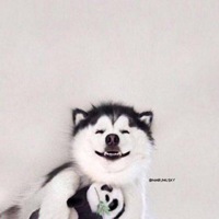 好看简单大方干净的微信头像图片