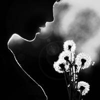 女生吹蒲公英头像图片