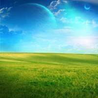 绿色意境唯美图片头像 绿色系护眼系列