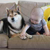 小孩和狗头像,萌宠与萌娃头像图片