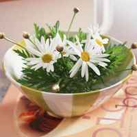 静物微信头像 唯美静物清爽文艺