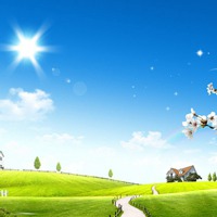 绿色意境唯美图片头像 绿色系护眼系列