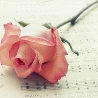 好看简单大方干净的微信头像图片