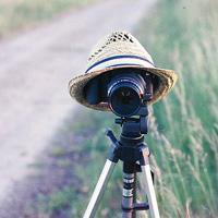 小清新可爱头像 唯美又好看可爱哒