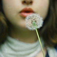 女生吹蒲公英头像图片