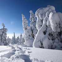 高清好看唯美的美丽自然风景头像图片