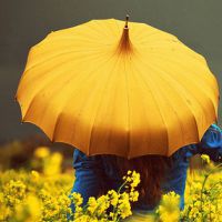 孤独唯美意境雨伞头像 撑开的雨伞有意境