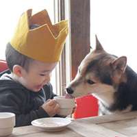 小孩和狗头像,萌宠与萌娃头像图片