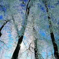 适合冬天用的头像