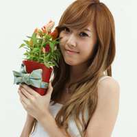 唯美简约清新很有意境的女生头像图片