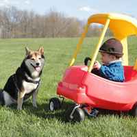 小孩和狗头像,萌宠与萌娃头像图片