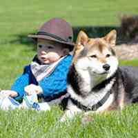 小孩和狗头像,萌宠与萌娃头像图片