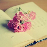 书本唯美头像 唯美书本