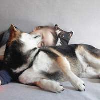 小孩和狗头像,萌宠与萌娃头像图片