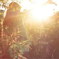 唯美小清新文艺范女生头像