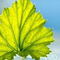 唯美意境清新头像 唯美清新淡雅好喜欢