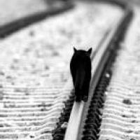 很孤独的头像 一个人的孤独