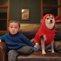 小孩和狗头像,萌宠与萌娃头像图片