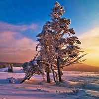 微信头像雪景图片大全