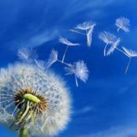 很孤独的头像 一个人的孤独