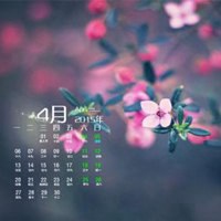 微信头像春天风景 春暖花开