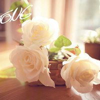 微信头像小清新花朵 淡淡的就挺好