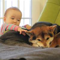 小孩和狗头像,萌宠与萌娃头像图片