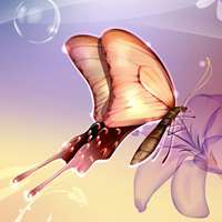 蝴蝶唯美头像 蝴蝶为花碎 花却随风飞