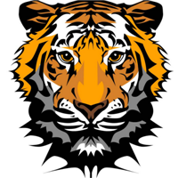 微信虎头像_好看凶猛的老虎头