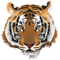微信虎头像_好看凶猛的老虎头
