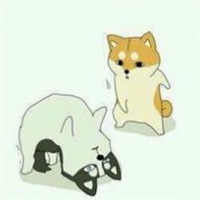 doge微信头像