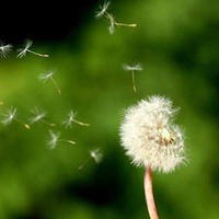 小清新唯美意境头像