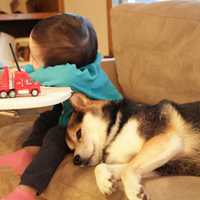 小孩和狗头像,萌宠与萌娃头像图片