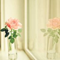 静物微信头像 唯美静物清爽文艺