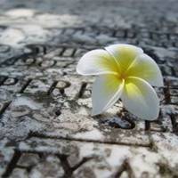 唯美意境景物头像 清新淡雅很赏心悦目