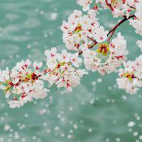 小清新唯美意境头像