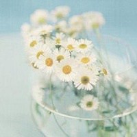 小清新唯美意境头像