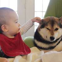 小孩和狗头像,萌宠与萌娃头像图片