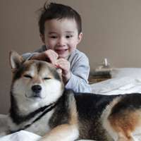 小孩和狗头像,萌宠与萌娃头像图片