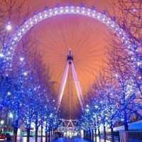 微信头像夜晚摩天轮