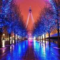 微信头像夜晚摩天轮