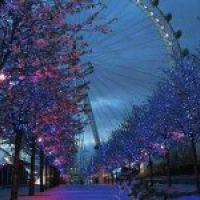 微信头像夜晚摩天轮